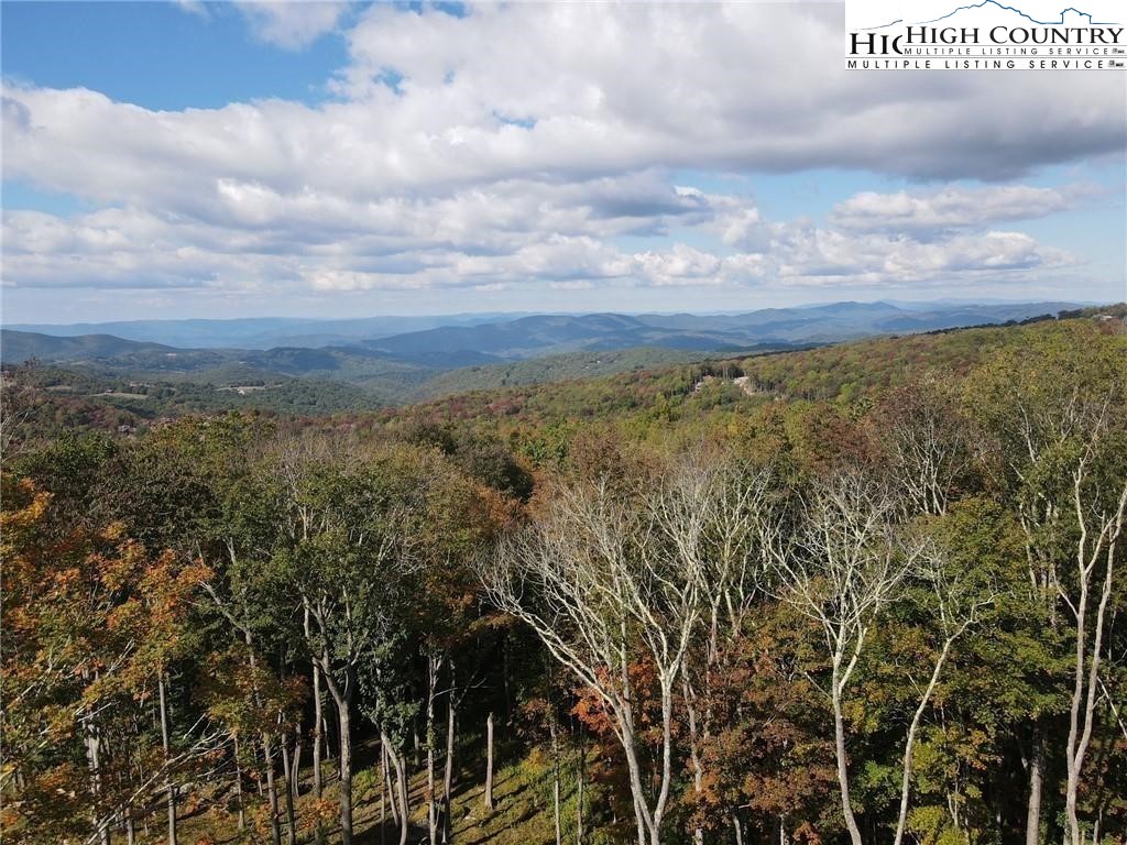 80 Lands End Trail Banner Elk, NC 28604 - Photo 6 of 31