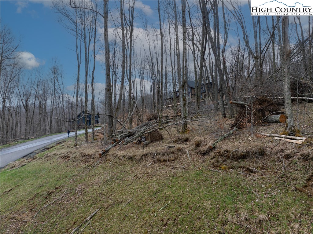 80 Lands End Trail Banner Elk, NC 28604 - Photo 9 of 31 a view of backyard with wooden fence