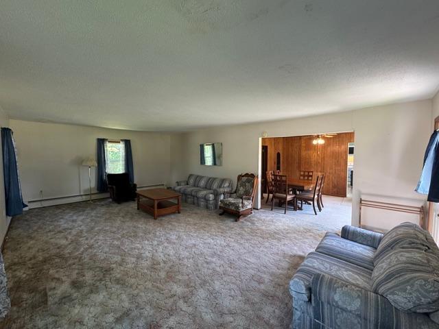 1228 Highway 71 Sebeka, MN 56477 - Photo 22 of 41