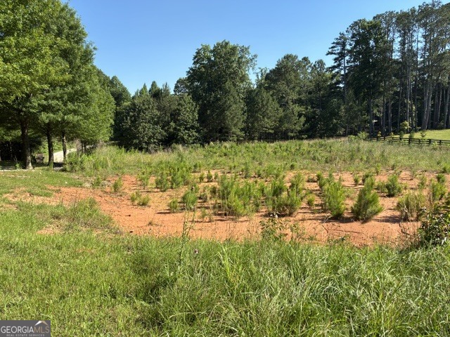 594 Roper Road Canton, GA 30115 - Photo 1 of 1 Gallery Image 1