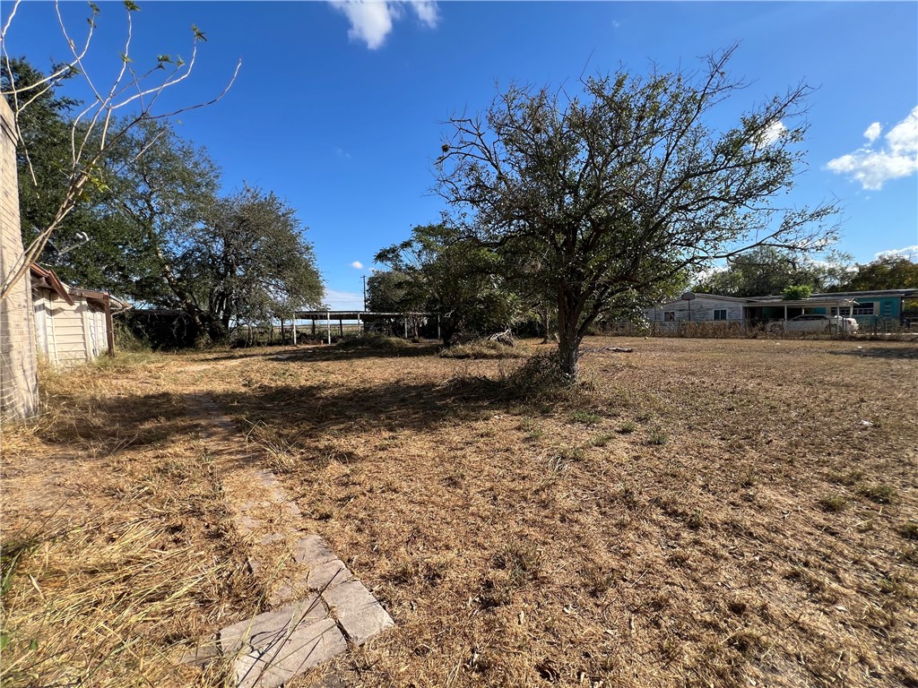 113 4th Street Mathis, TX 78368 - Photo 8 of 13 a view of dirt yard with a large tree