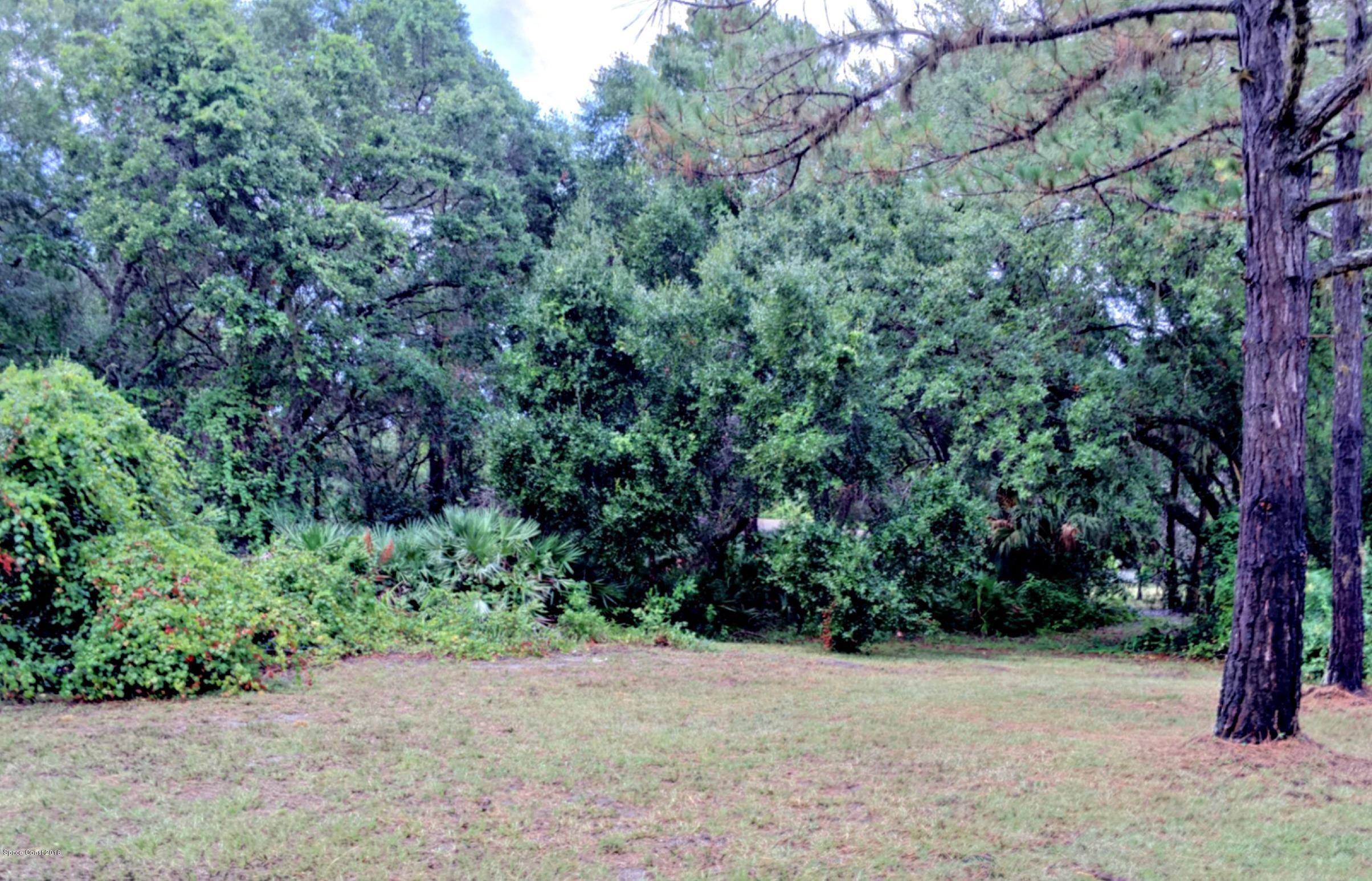 3690 Aurantia Road Mims, FL 32754 - Photo 23 of 29 Back Yard