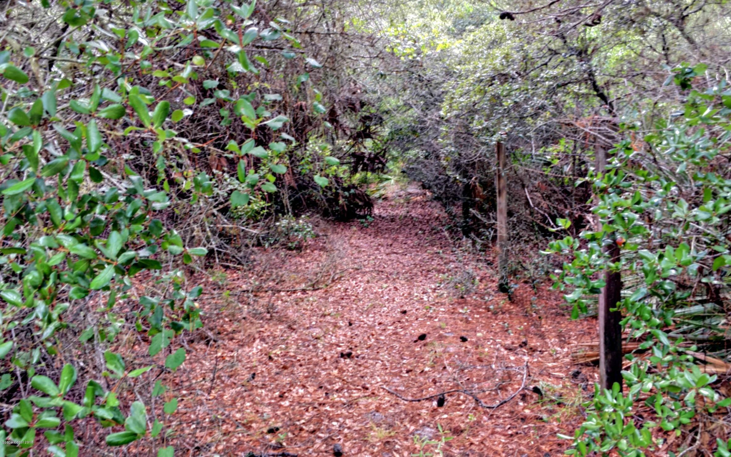 3690 Aurantia Road Mims, FL 32754 - Photo 24 of 29 Back property line to west