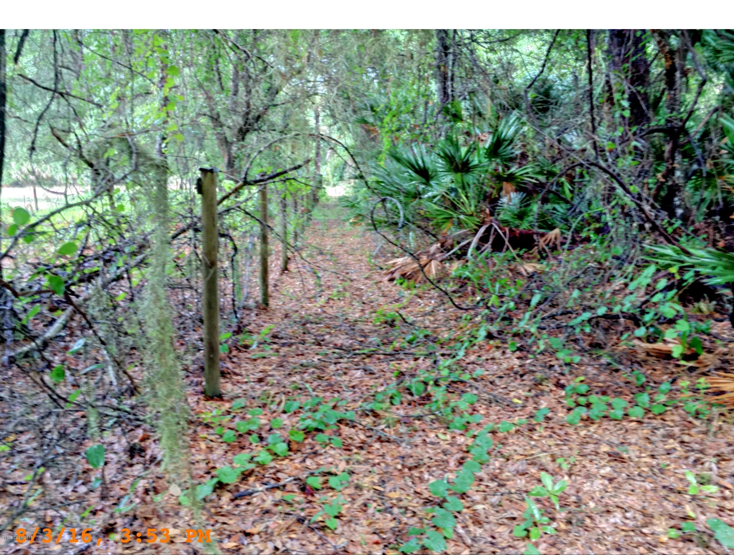 3690 Aurantia Road Mims, FL 32754 - Photo 25 of 29 Back property line east