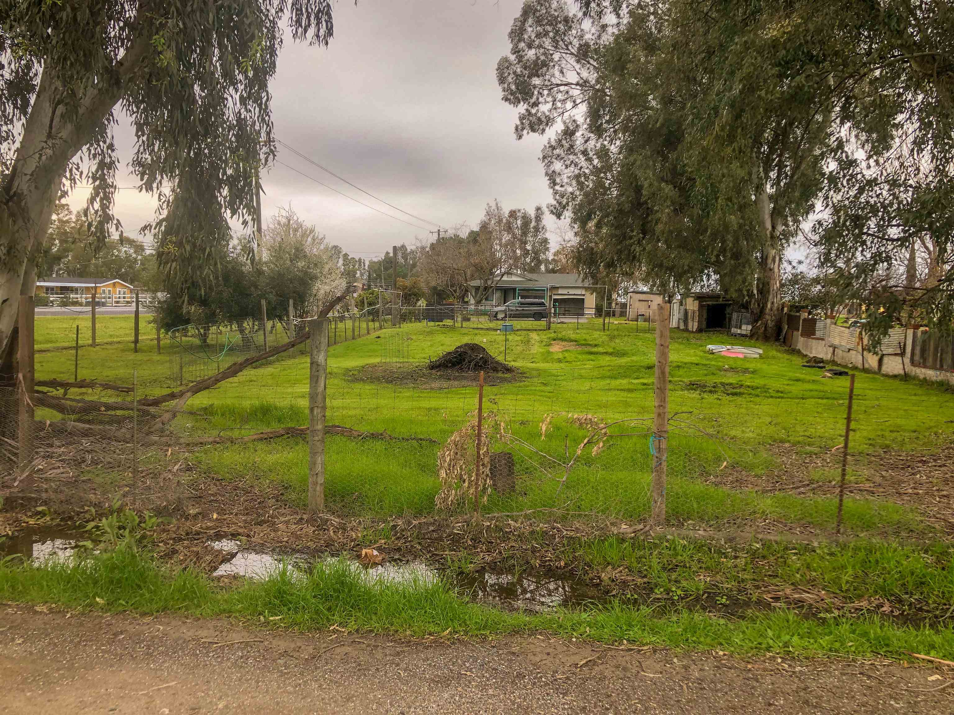 23848 Hoag Road Corning, CA 96021 - Photo 60 of 73