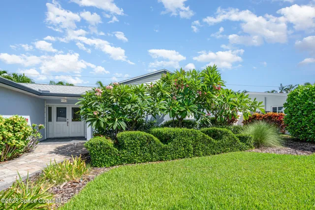 a view of a garden with plants and a bench