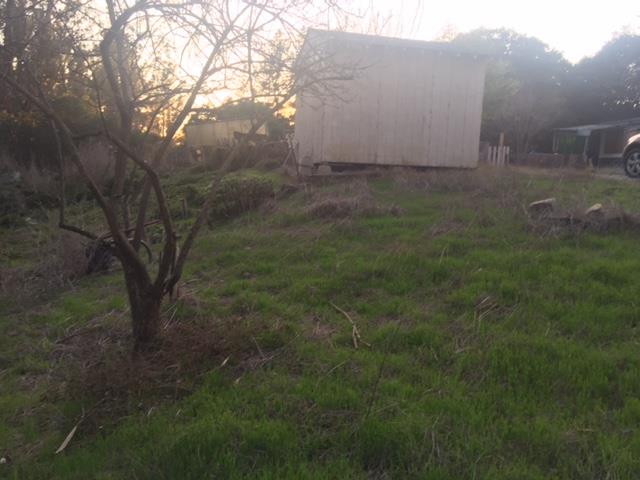 741 Paradise Road Salinas, CA 93907 - Photo 8 of 12 Gallery Image 8