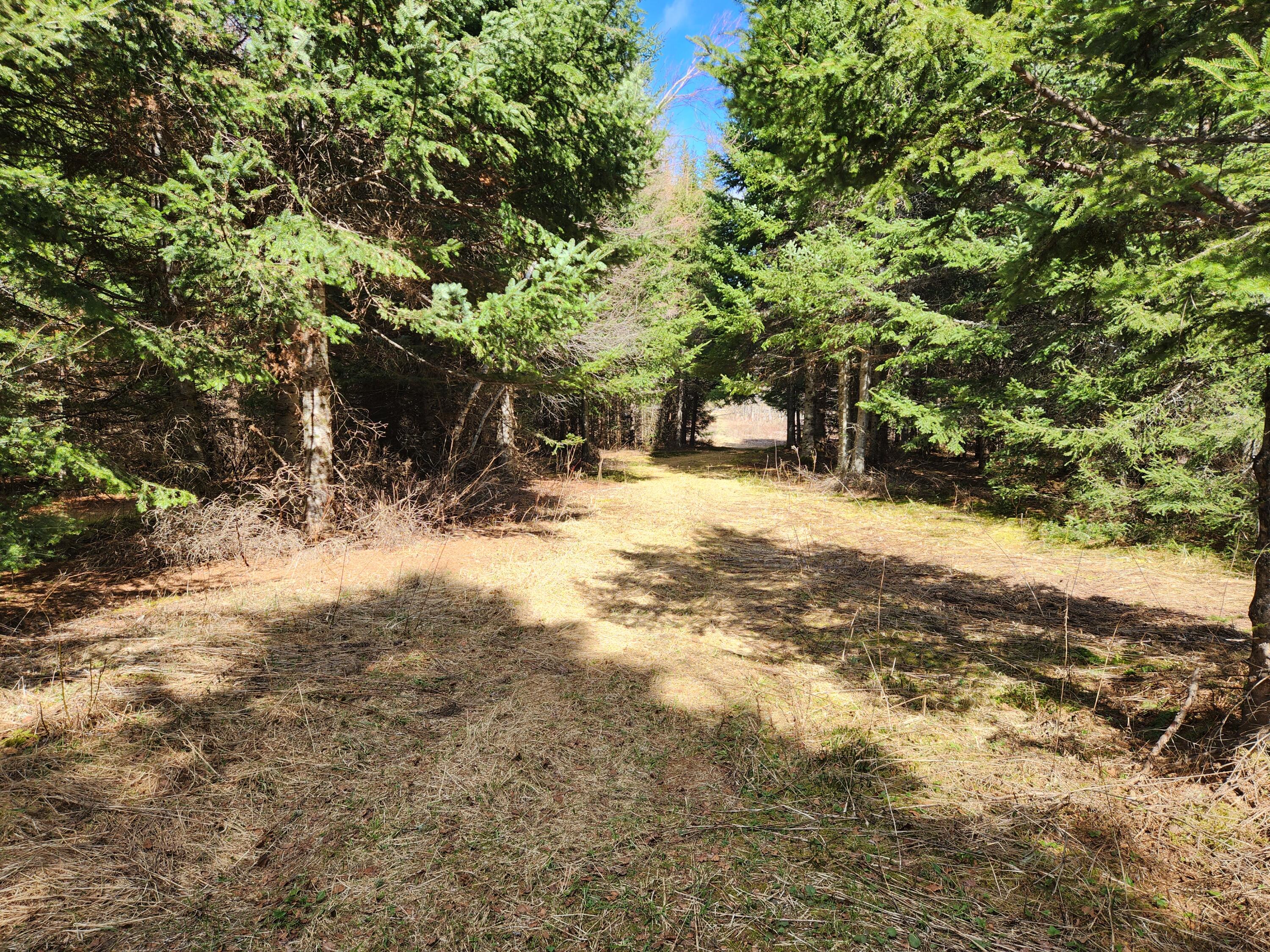 9 West C W Gate Road Caribou, ME 04736 - Photo 7 of 9 2025-04-30 15.44.00