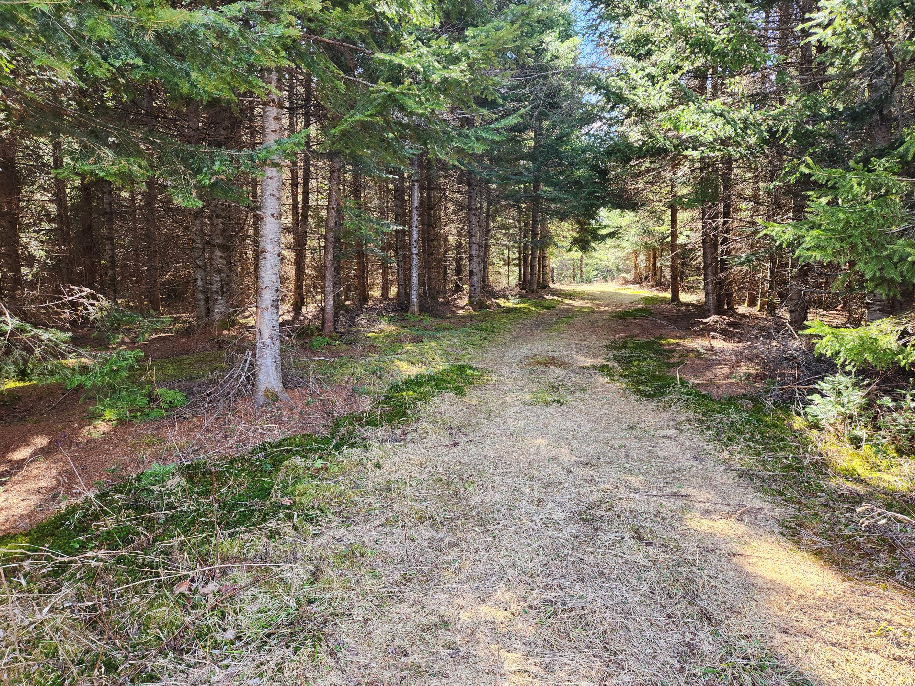 9 West C W Gate Road Caribou, ME 04736 - Photo 8 of 9 2025-04-30 15.47.47