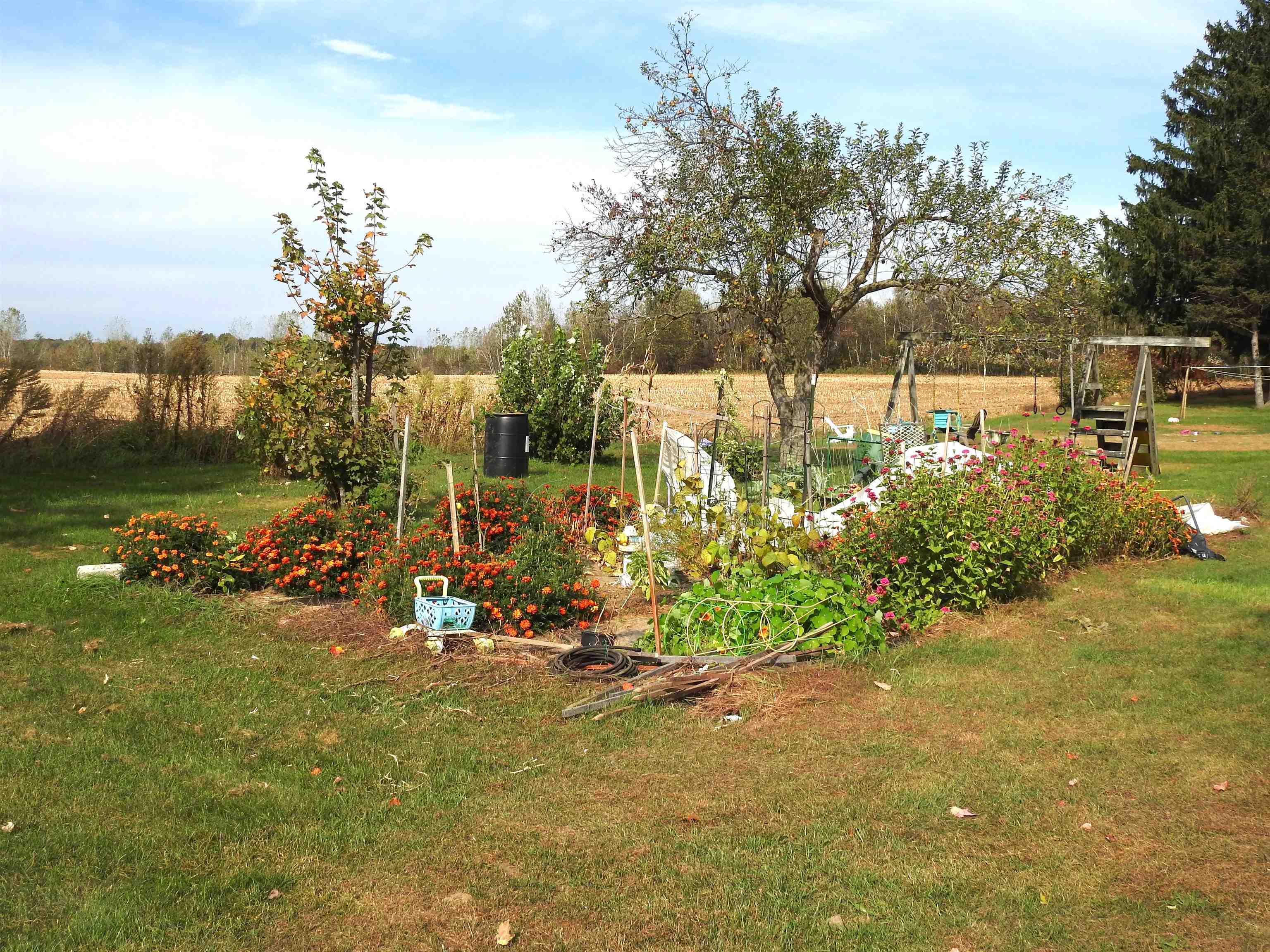 59 High Street Sheldon, VT 05483 - Photo 22 of 24