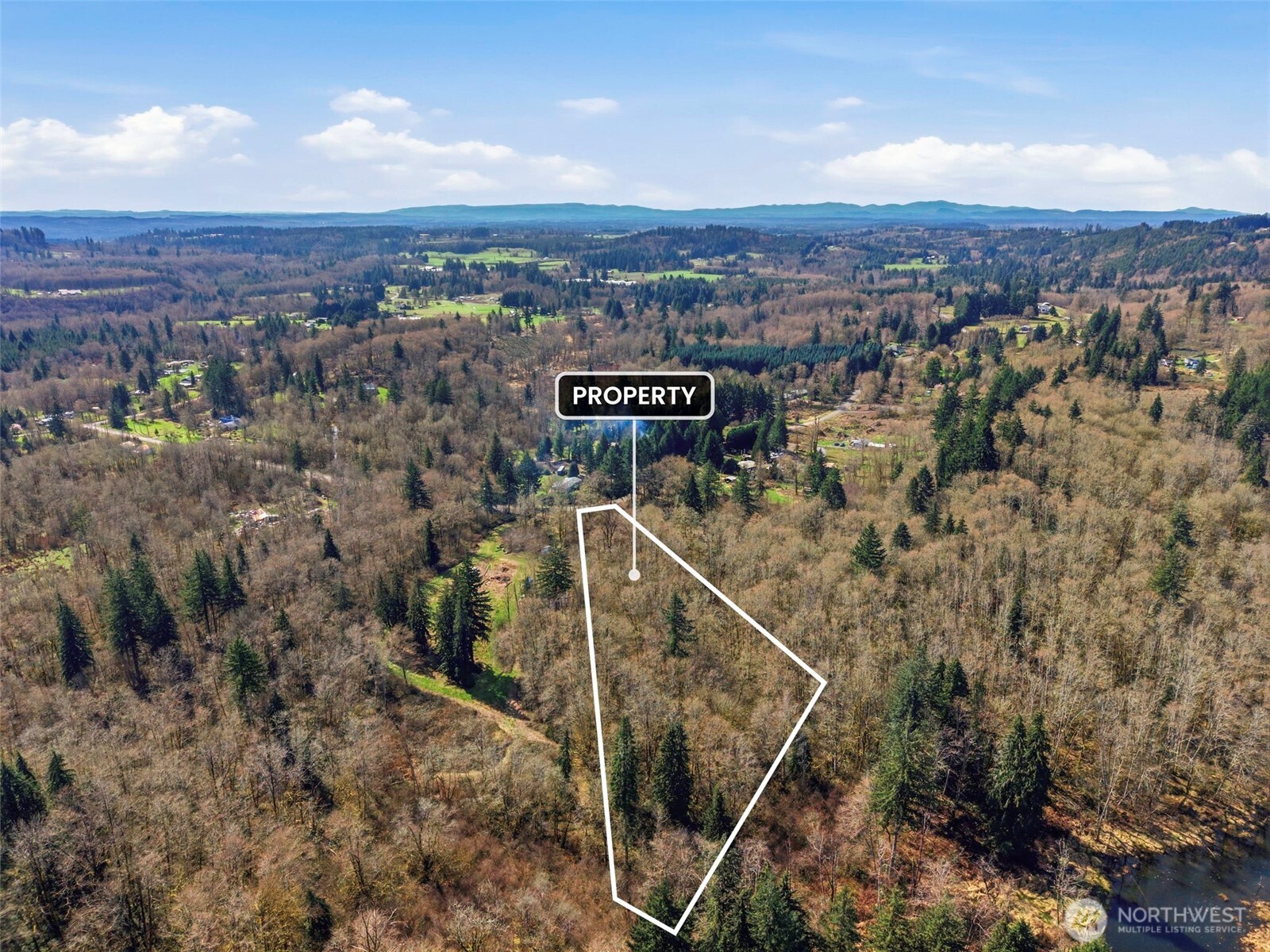 -xxx View Ridge Road Onalaska, WA 98570 - Photo 6 of 12 a view of a city