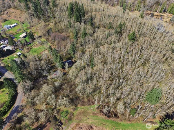 a view of a yard with a tree
