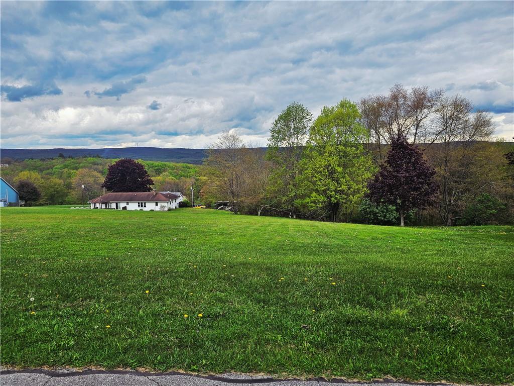a view of a garden with an buildings in the background