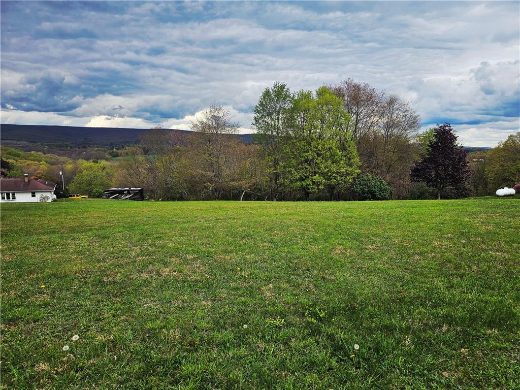 144 White Star Way Jennerstown, PA 15547 - Photo 4 of 17 a view of a field with an trees in front of it