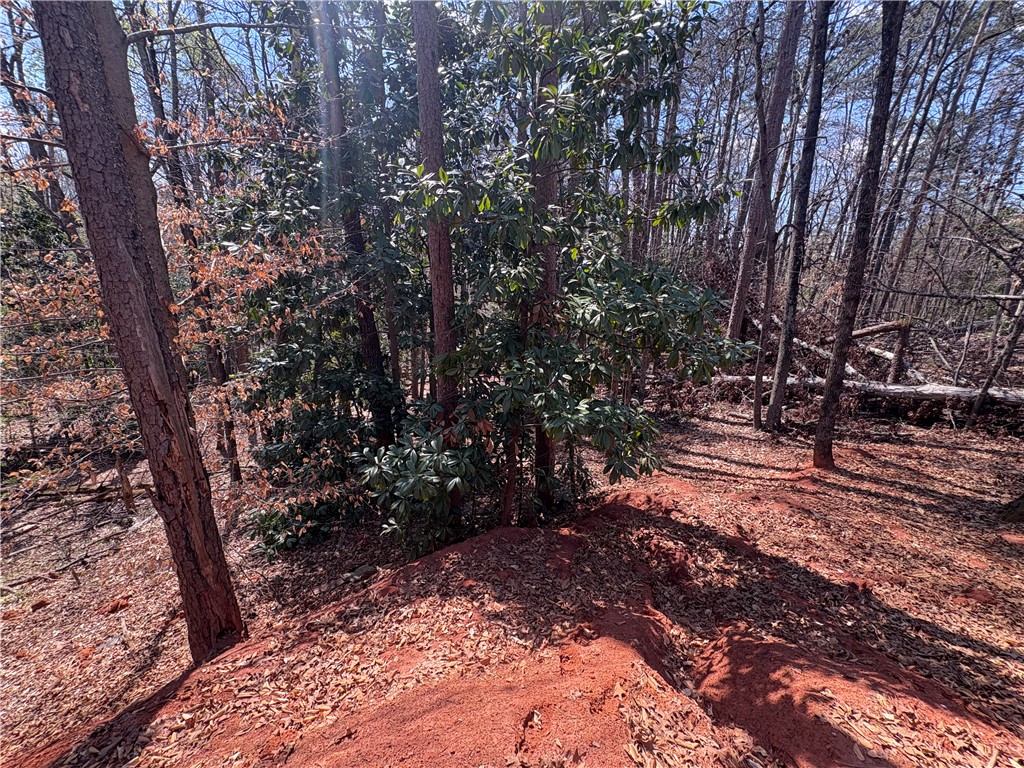 103 Hughes Street Seneca, SC 29672 - Photo 11 of 12