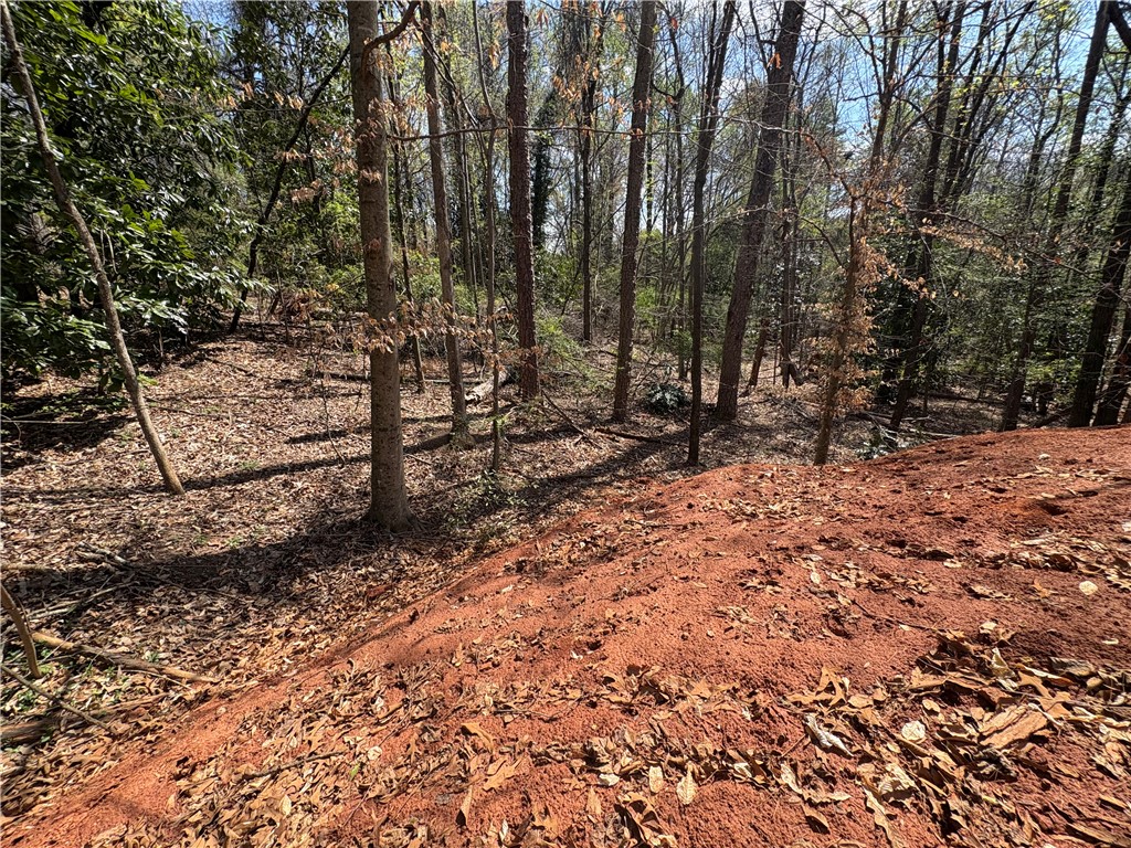 103 Hughes Street Seneca, SC 29672 - Photo 12 of 12