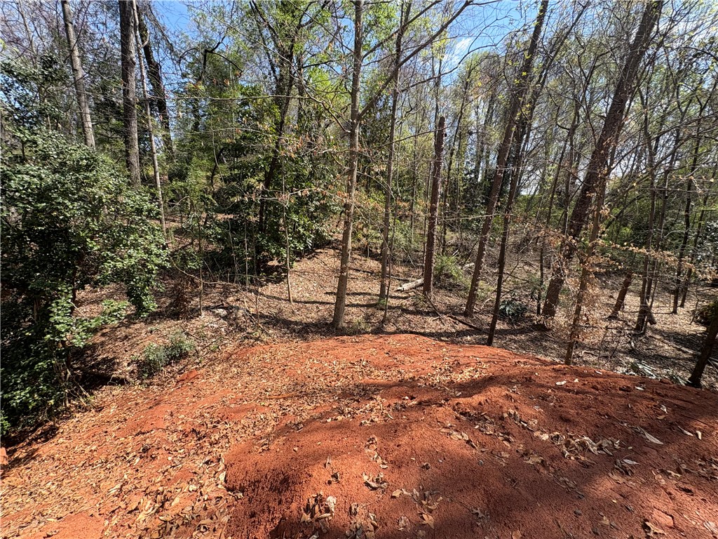 103 Hughes Street Seneca, SC 29672 - Photo 7 of 12