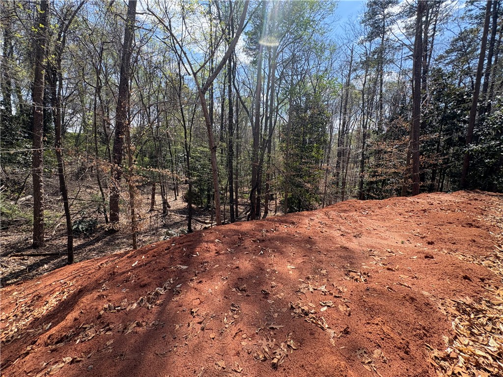 103 Hughes Street Seneca, SC 29672 - Photo 8 of 12