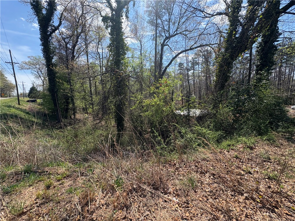 103 Hughes Street Seneca, SC 29672 - Photo 10 of 12