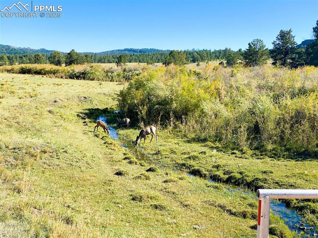Rosebush Road Canon City, CO 81212 - Photo 2 of 10