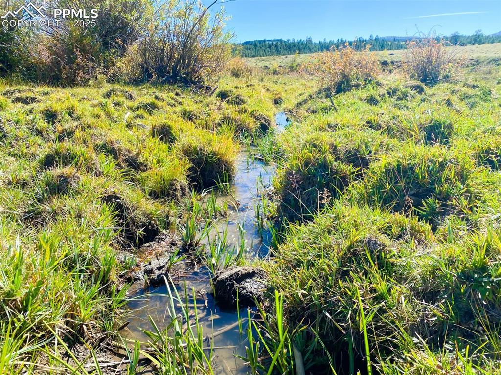 Rosebush Road Canon City, CO 81212 - Photo 3 of 10