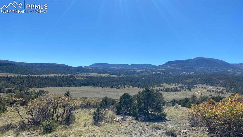 Rosebush Road Canon City, CO 81212 - Photo 4 of 10