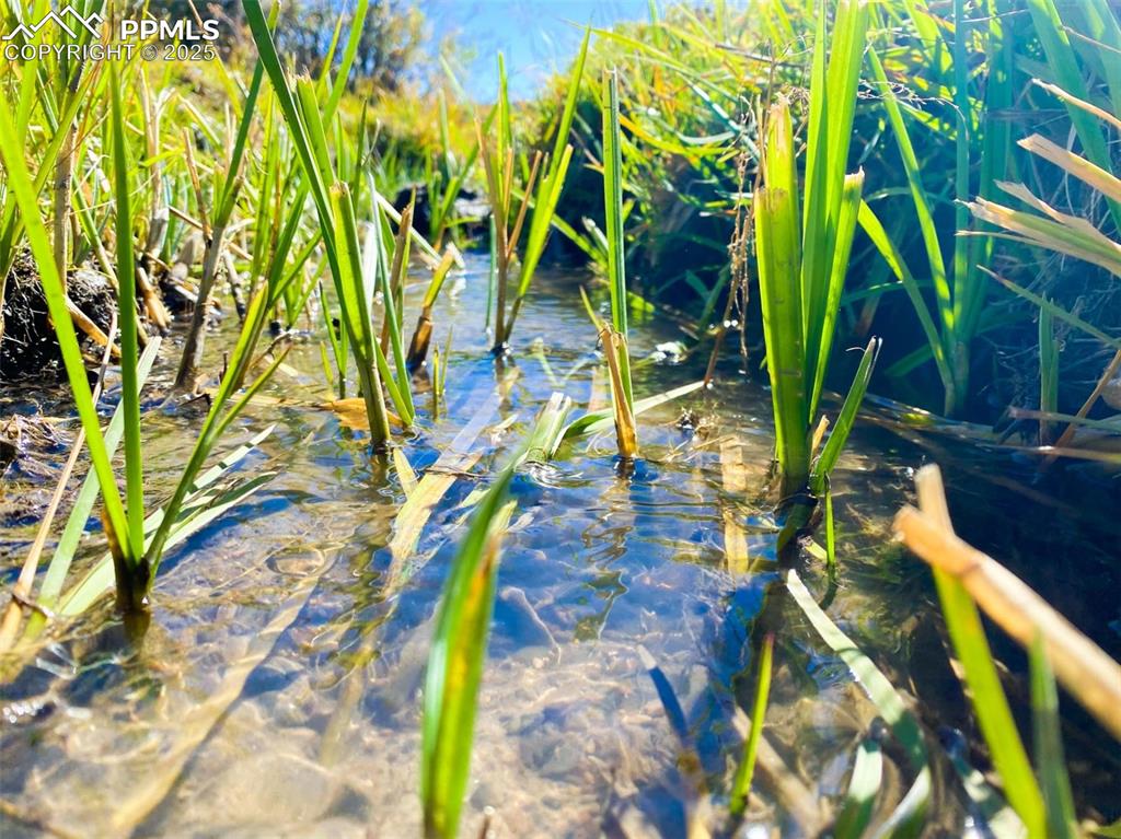 Rosebush Road Canon City, CO 81212 - Photo 5 of 10