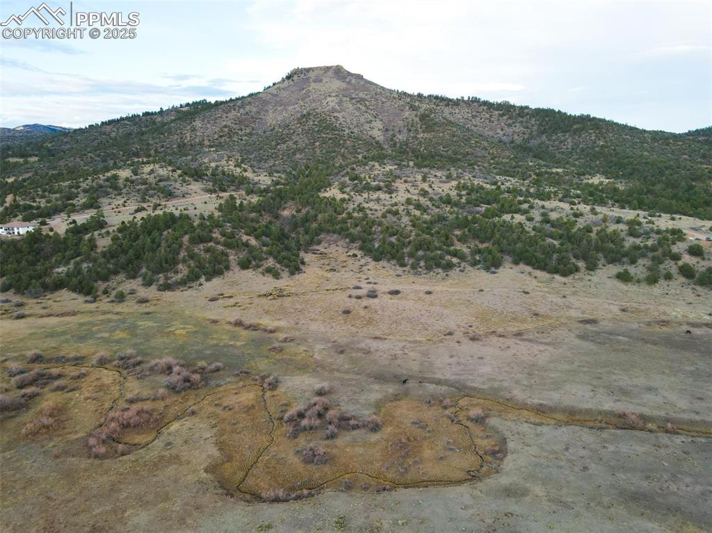 Rosebush Road Canon City, CO 81212 - Photo 6 of 10