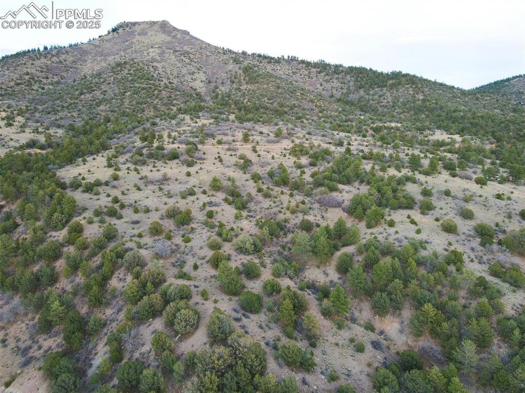 Rosebush Road Canon City, CO 81212 - Photo 7 of 10