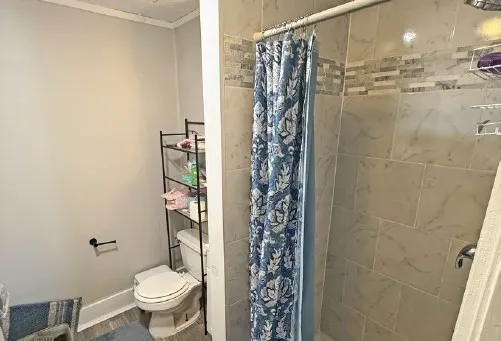 a bathroom with a shower curtain and a toilet