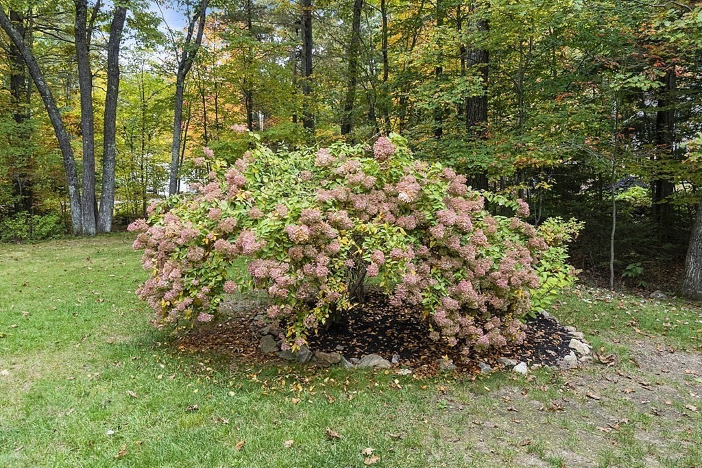80 Dunn Road Ashburnham, MA 01430 - Photo 28 of 35