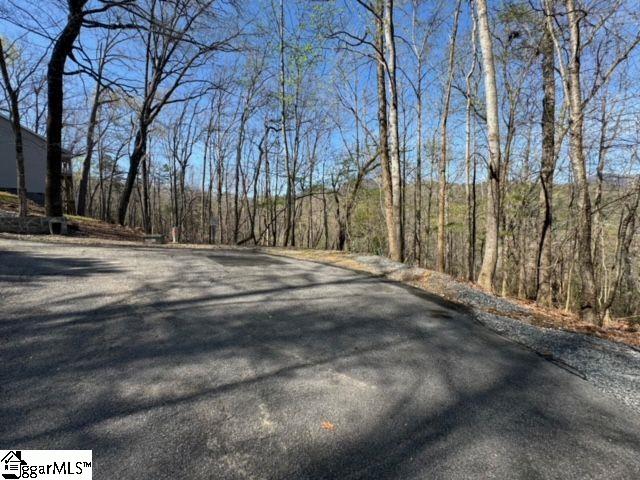 Ledge Road Cleveland, SC 29635 - Photo 11 of 19