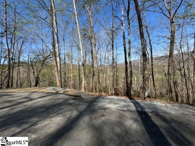 Ledge Road Cleveland, SC 29635 - Photo 12 of 19