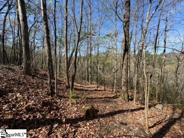 Ledge Road Cleveland, SC 29635 - Photo 13 of 19
