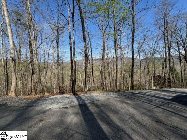 Ledge Road Cleveland, SC 29635 - Photo 14 of 19
