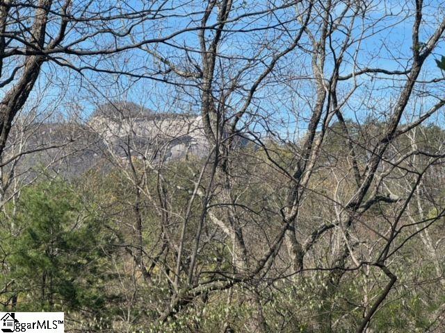 Ledge Road Cleveland, SC 29635 - Photo 2 of 19