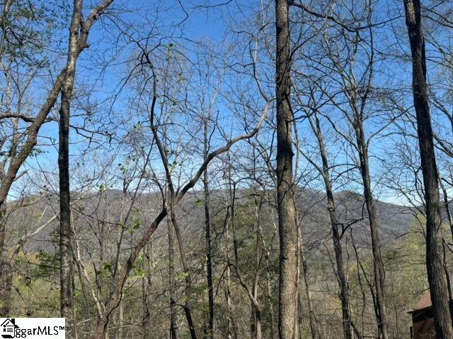 Ledge Road Cleveland, SC 29635 - Photo 3 of 19