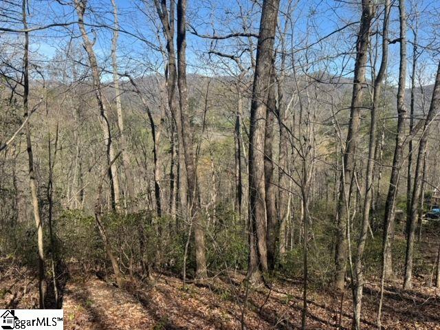 Ledge Road Cleveland, SC 29635 - Photo 4 of 19