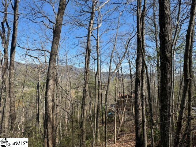 Ledge Road Cleveland, SC 29635 - Photo 5 of 19