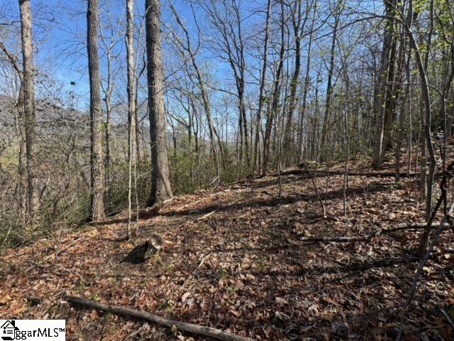 Ledge Road Cleveland, SC 29635 - Photo 6 of 19