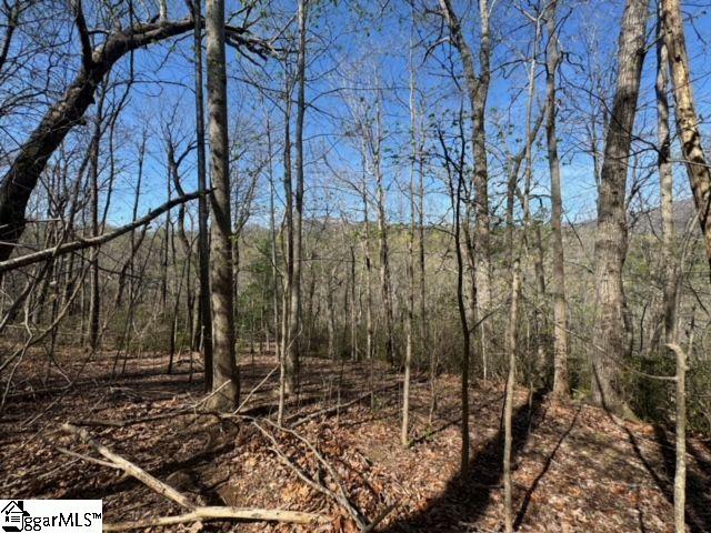 Ledge Road Cleveland, SC 29635 - Photo 7 of 19