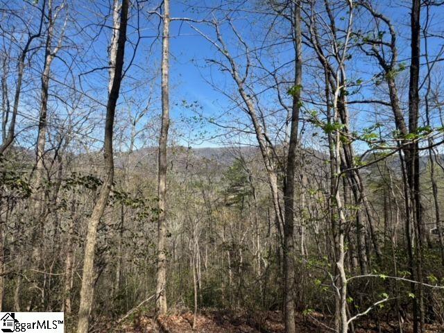 Ledge Road Cleveland, SC 29635 - Photo 8 of 19