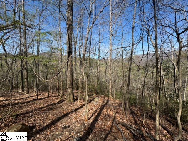 Ledge Road Cleveland, SC 29635 - Photo 9 of 19