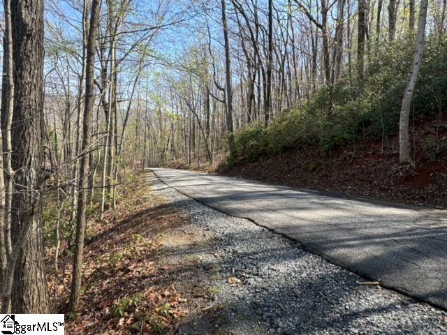 Ledge Road Cleveland, SC 29635 - Photo 10 of 19