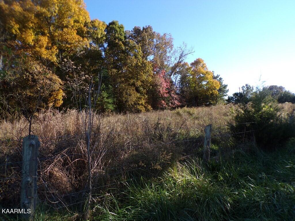 Old Ridge Road Sparta, TN 38583 - Photo 3 of 5 207640_2