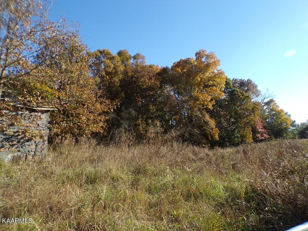 Old Ridge Road Sparta, TN 38583 - Photo 4 of 5 207640_1