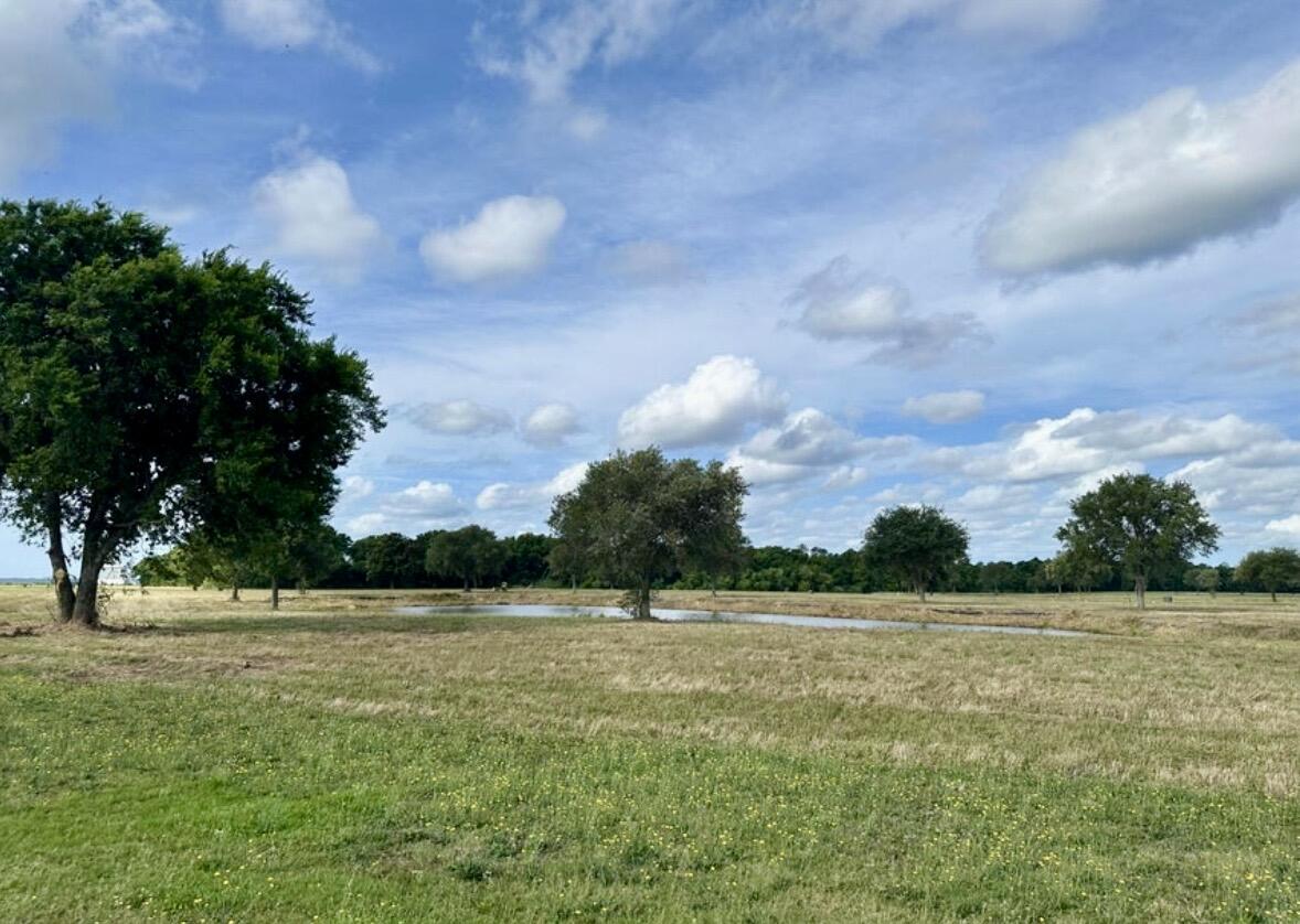 4 Cravens Street Georgetown, SC 29440 - Photo 3 of 6 IMG_2975