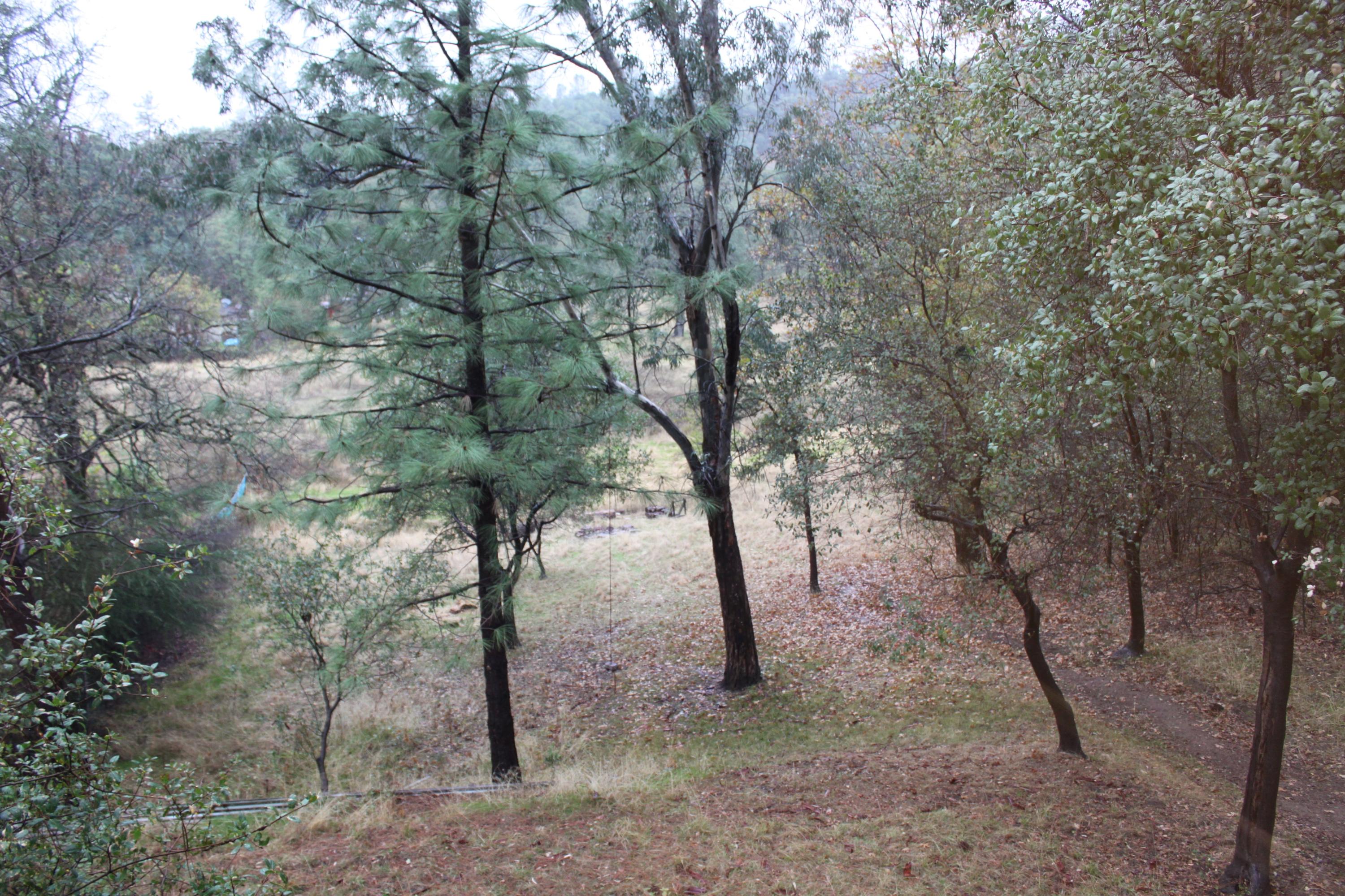 22158 Sunshine Way Redding, CA 96003 - Photo 23 of 29 Backyard