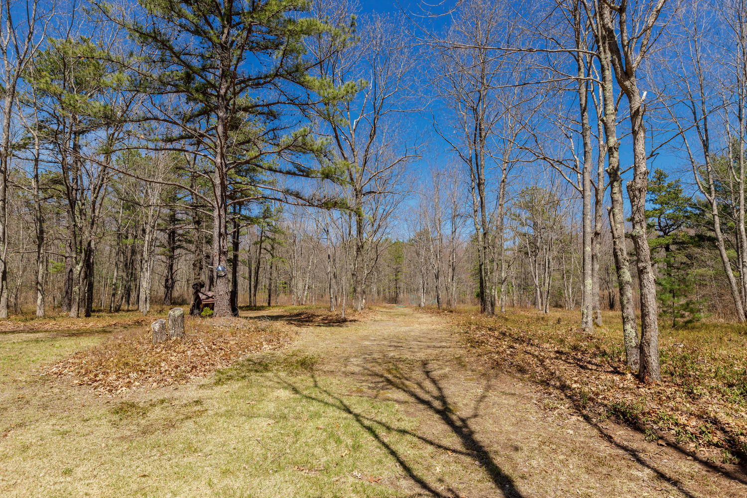 37 Middle Road Kennebunk, ME 04043 - Photo 29 of 32 Yard