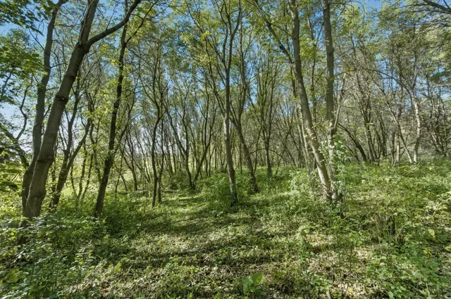 $325,000 | 25415 Grail Court, Wyoming, MN 55092